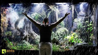 What Happened After Creating a Storm In My Giant Rainforest Vivarium