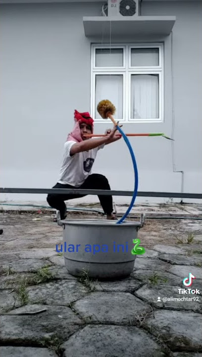 suling ular 🐍 sakti