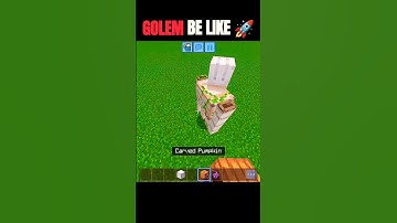 "Golem Be Like 🚀 After Fighting a Shulker!"