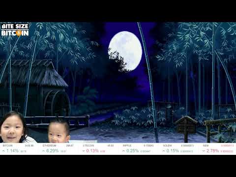 BITCOIN at $3430!!! - Double Doge - August 8, 2017 - BiteSizeBitcoin Livestream - HISTORY MADE!