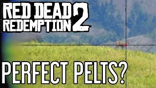 How to Get Perfect Pelts in Red Dead Redemption 2
