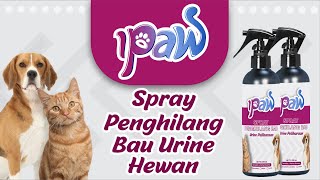 Rahasia Menghilangkan Bau Pesing Kucing (IPAW Official)