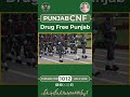 CNF Punjab | Grug Free Punjab