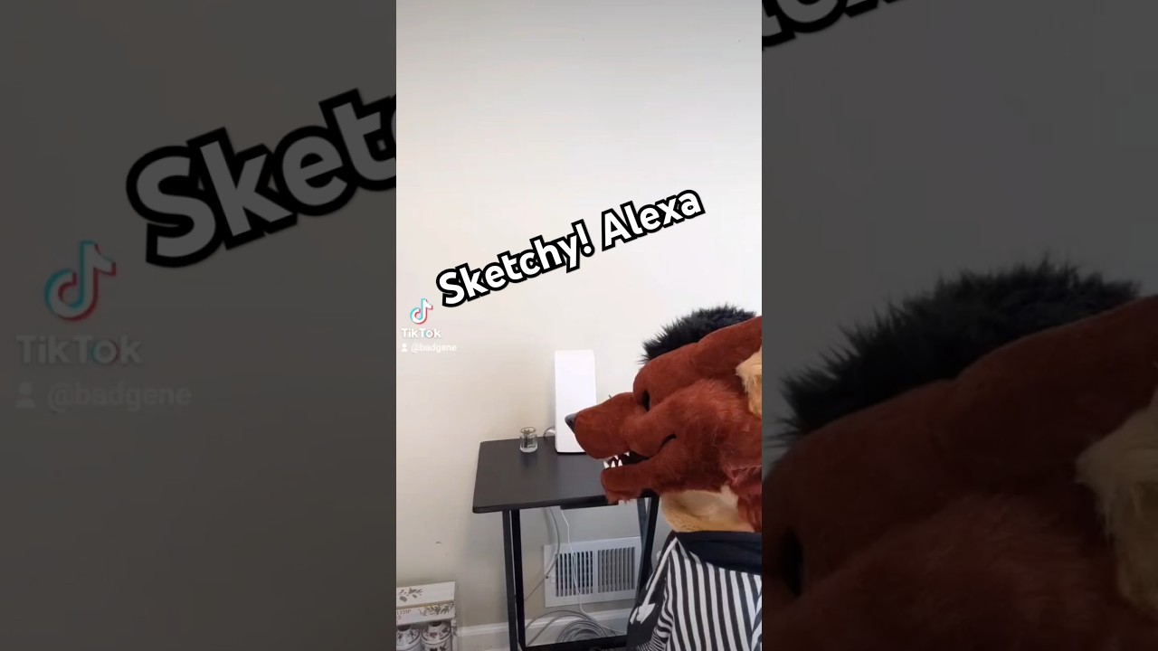 sketchy! Alexa 