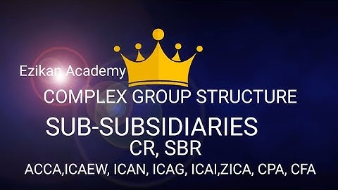 SUB SUBSIDIARY (GROUP ACCOUNTS)
