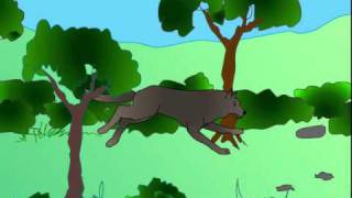 Wolf run (Flash)