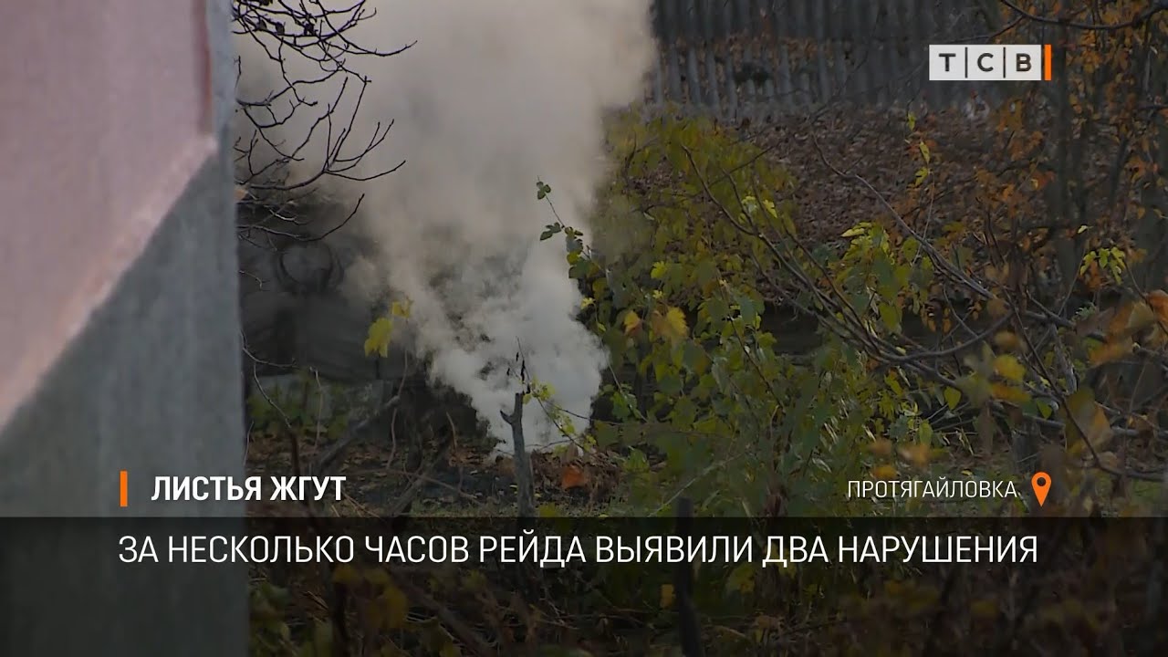 Жжет листья как правильно. Жжет листья как правильно