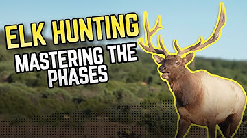 Elk Hunting Tips: Early Season, Pre-Rut, The Rut, and Post Rut