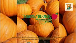 Top 5 Pumpkin Picking Farms in New Jersey  Betties
