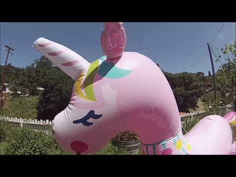 Blowing up and trying out my inflatable Banzai Lama-corn Sprinkler