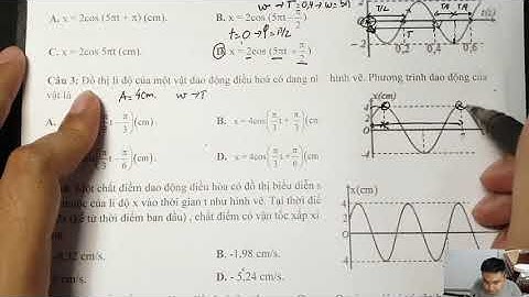 Chủ đề 8: Đồ thị dao động Phần 1
