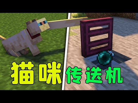 我的世界：貓咪幫你摁開關？無線紅石天花板，真的太香了