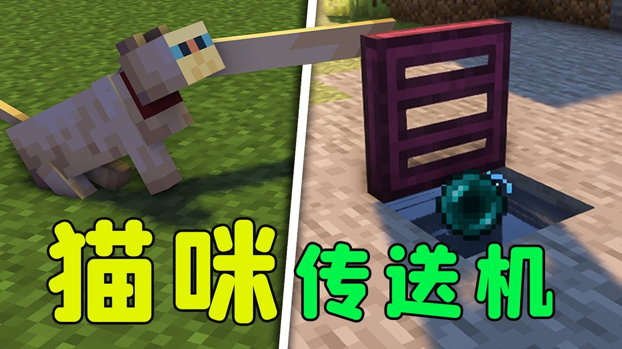 我的世界：貓咪幫你摁開關？無線紅石天花板，真的太香了