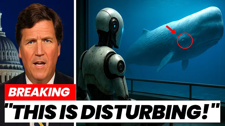 Scientists Just Decoded the Language of Whales Using AI… And the Truth Is Nothing Like We Expected