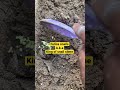 This species of snails are best raised in a green house.#youtubeshorts #snails
