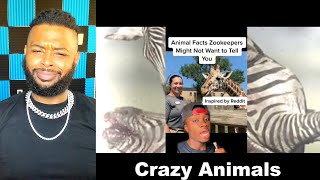 Hood Nature | Animal Secrets Zoos Don’t Want You To Know