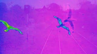 Nebyudelic & The Kommunications - Platform 23 (Preview)