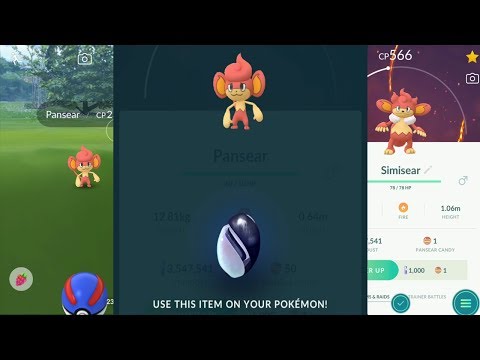 Vídeo: On és el pokemon pansear go?