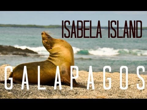 Exploring the Galapagos from Puerto Villamil