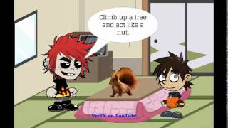 How to catch a squirrel. Анекдоты на английском языке. How to catch a squirrel. Анекдоты на английском языке.