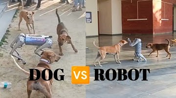 Robot dog vs Street dogs 🤣  | IIT KANPUR