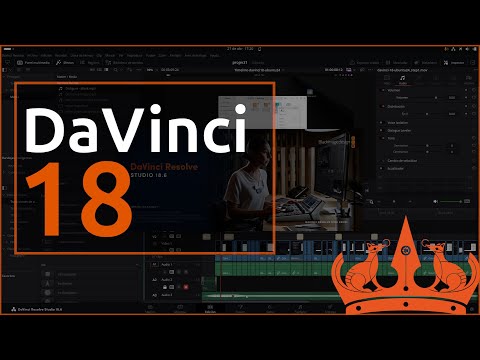 Davinci Resolve 18 Free or Studio version - Ubuntu 24.04