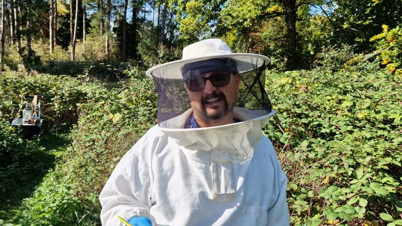 Detalii și precizări tratament acid oxalic cu eliberare prelungită - long release oxalic acid