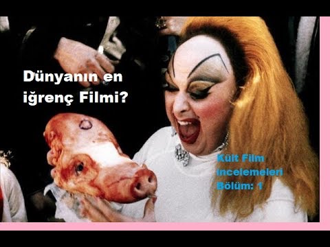 Dünyanın En Mide Bulandıran Filmi? Pink Flamingos Film İncelemesi (Kült Filmler)