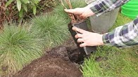 Graines Baumaux - YouTube - 