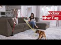 Tether Tug Indoor/Outdoor Dog Toy (for Dogs Under 35 lbs)