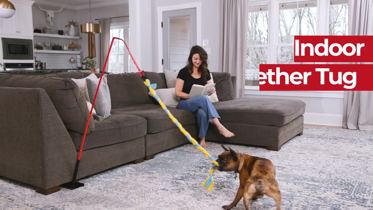 Fun, Interactive Dog Toy for Small Dogs & Puppies – Tether Tug