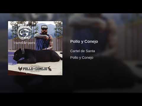 pollo y conejo