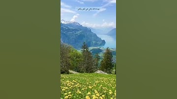 ما تيسر من سورة الغاشية بصوت القارئ عبدالرحمن مسعد.