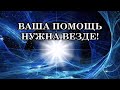 ВАША БЕСКОРЫСТНАЯ ПОМОЩЬ НУЖНА ВЕЗДЕ! Послание Богородицы