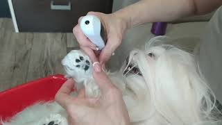 :  . #_