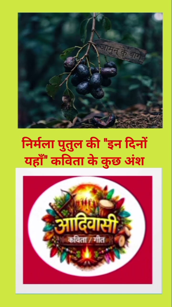 आदिवासी स्टेट्स विडियो - ShareChat