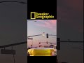 Tweaker Geographic episode 54:”Nest”
