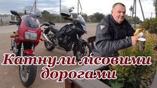 видео: Катнули лісовими дорогами картинка: Катнули лісовими дорогами