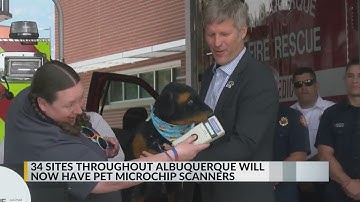 New pet microchip scan project rolled out across Albuquerque