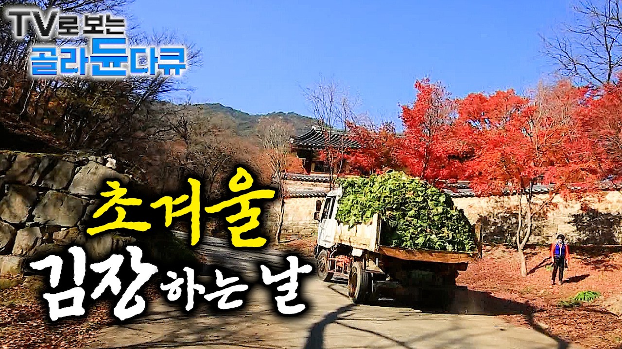 🥬찬 바람 불면, 한국인은 김장 준비 중. 배추 10톤 김장부터 옹기종기 모여 하는 집안 김장까지🥬｜김장 김치 꿀조합｜초겨울 김장날 1시간 몰아보기｜한국기행｜#tv로보는골라듄다큐