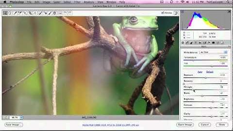 Photoshop CS5 Tutorials in Video : Noise Reduction