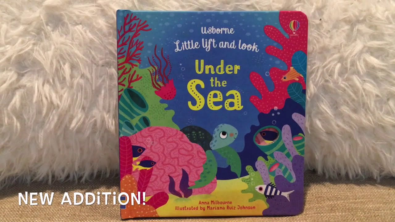 Little Lift and Look Under the Sea 🐠 - Usborne Books & More - YouTube