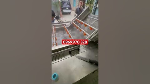 Máy rửa rau củ bảng tải #inoxhaiduong #chaoxaonhan #maysennhan #maytronbotkho