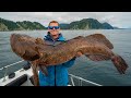 GIANT Alaskan SEA DRAGON! Catch Clean Cook (Ling Cod)