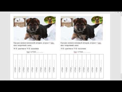 Как создать объявление в ворде (Word 2016)