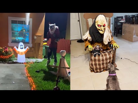 Video: Wie Verkleed Je Voor Halloween