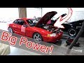 Procharged Cobra Hits the Dyno - Results are IN!