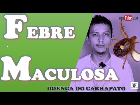 Vídeo: Febre das Montanhas Rochosas em Cães: Causas, Sintomas e Tratamento