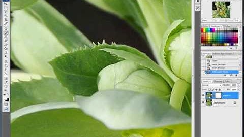 Adobe Photoshp Tutorial - Selective Sharpening usuing a Layer Mask