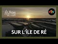 Le temps dun dtour sur lle de r avec lionel quillet